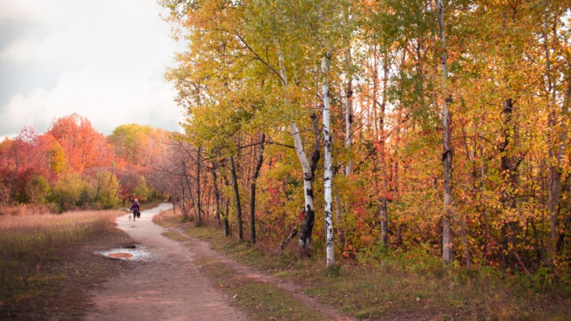 The Underrated Power of a Daily Walk