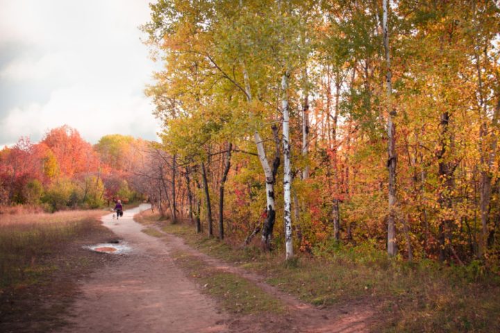 The Underrated Power of a Daily Walk