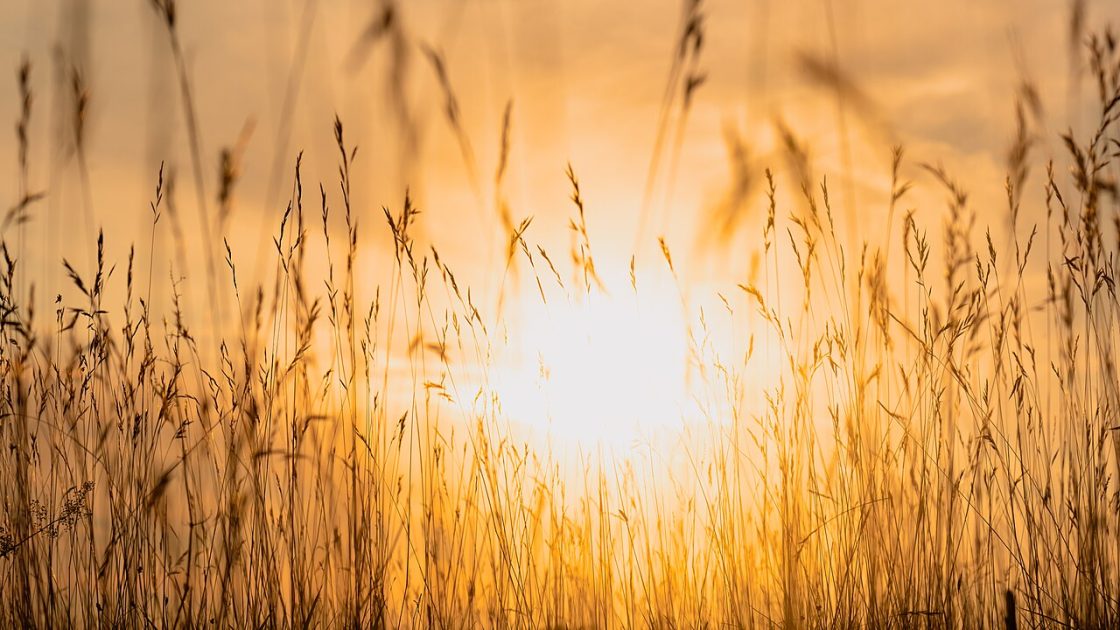 Vitamin D: Why It Matters and How to Get Enough