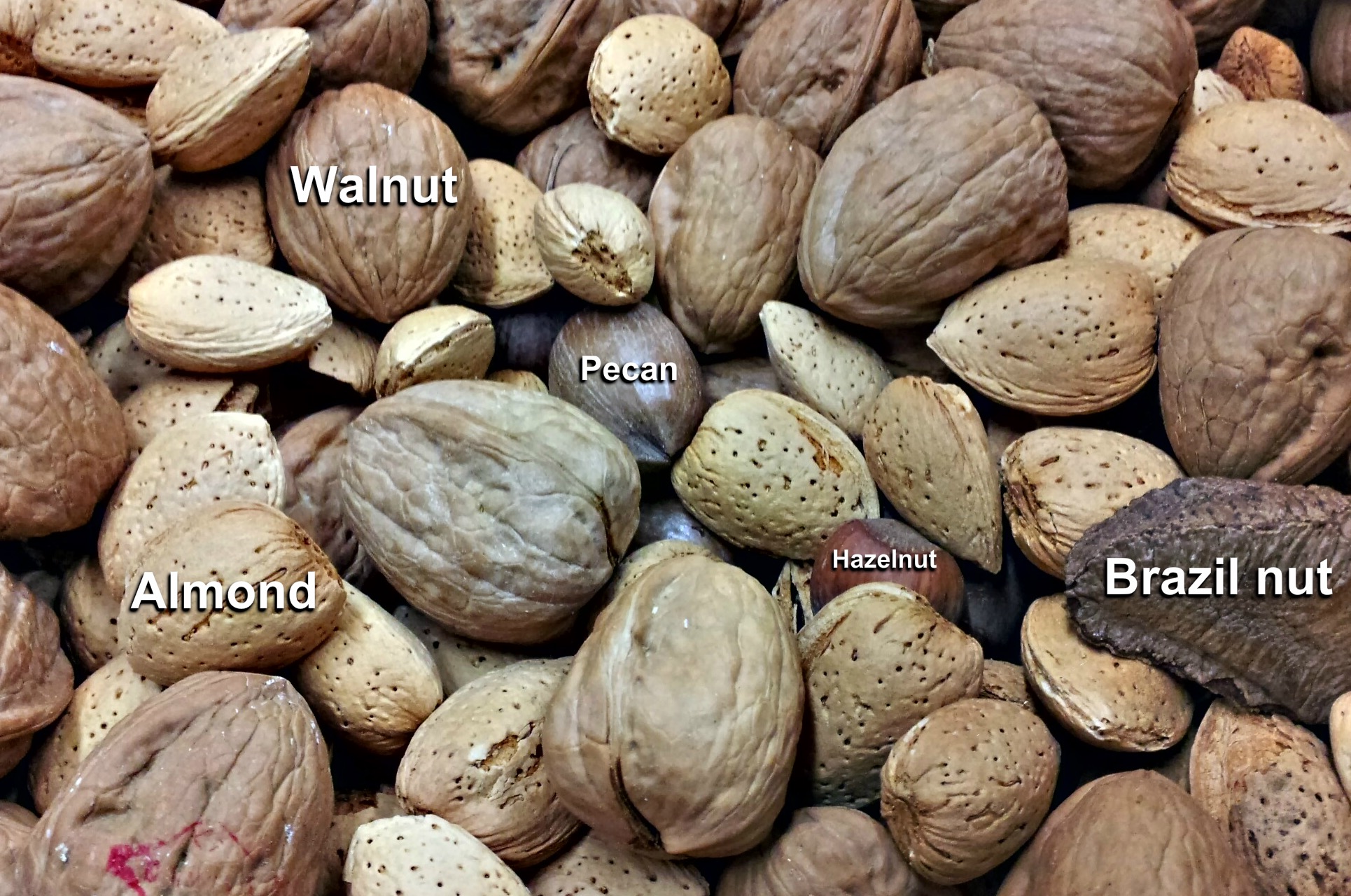 Healthy Fats Explained: Which Fats to Eat and Which to Limit