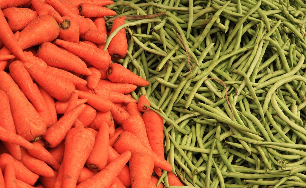How to Support Your Immune System (What Actually Works)