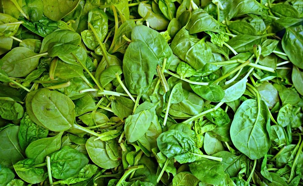 Iron Deficiency: Warning Signs and the Best Food Sources