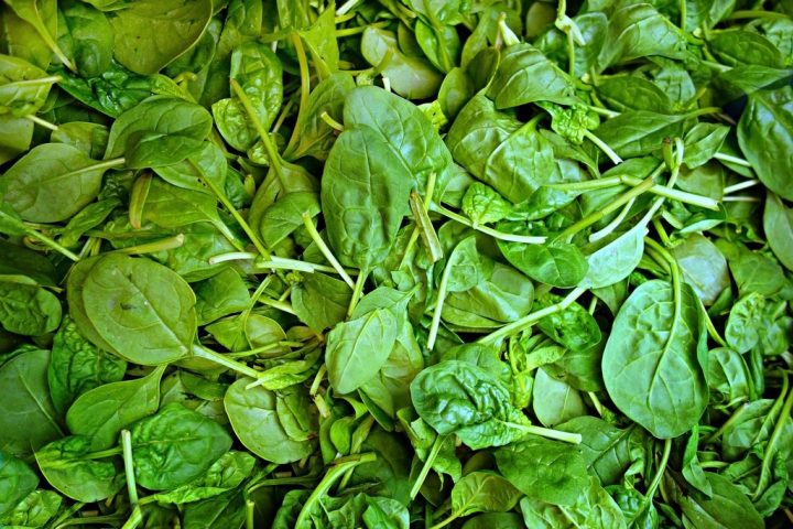 Iron Deficiency: Warning Signs and the Best Food Sources