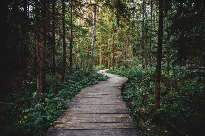 Building Resilience: How Small Stressors Can Strengthen You Over Time