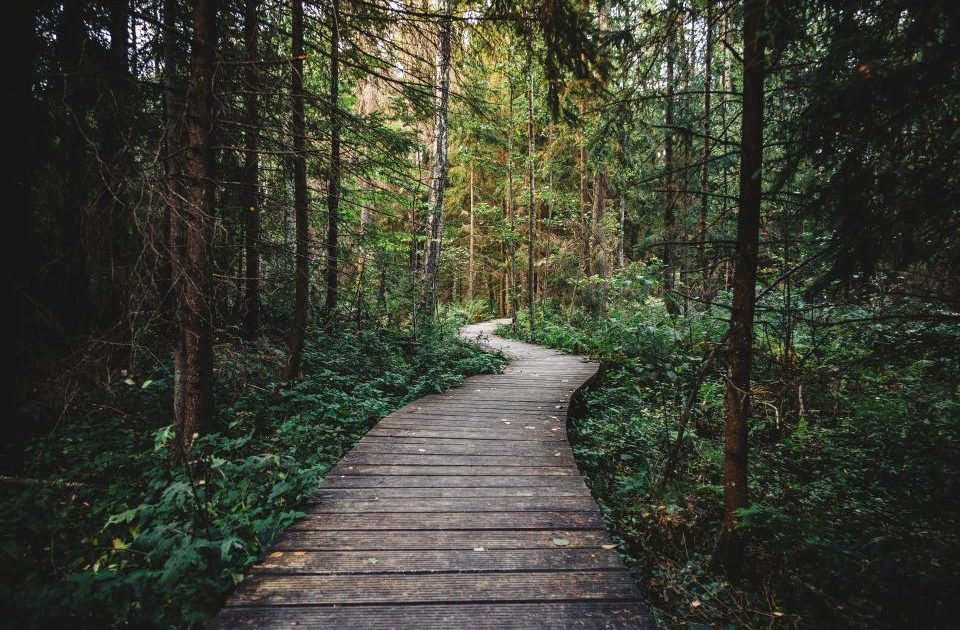 Building Resilience: How Small Stressors Can Strengthen You Over Time