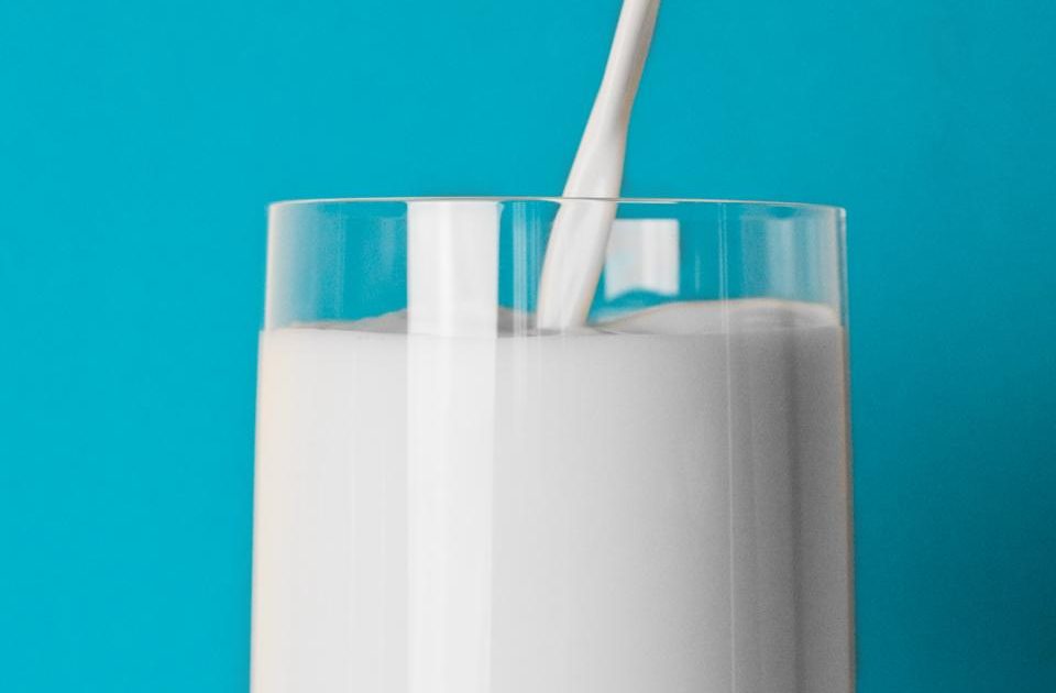 Calcium Beyond Dairy: Building Strong Bones on Any Diet