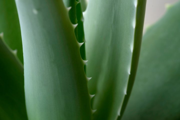 Sunburn Recovery: What Actually Helps Damaged Skin Heal