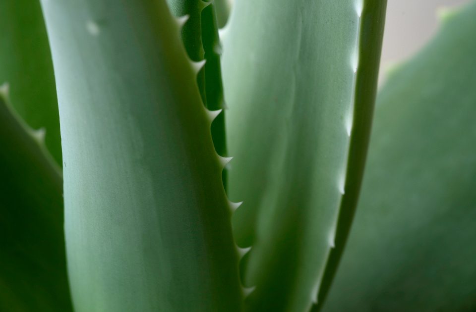 Sunburn Recovery: What Actually Helps Damaged Skin Heal